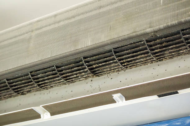 Best HVAC Duct Inspection Services  in Reisterstown, MD